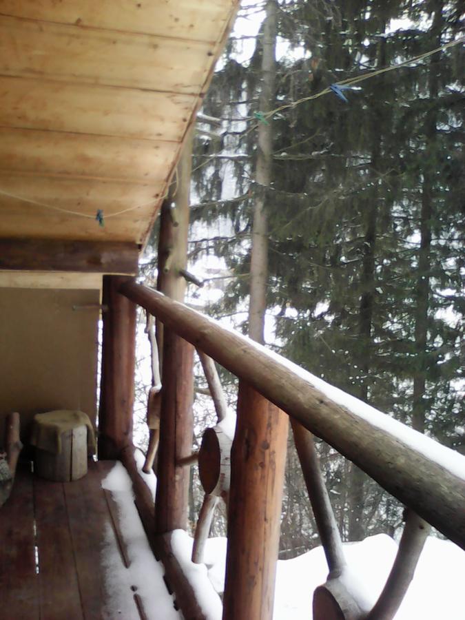 Krutogora Guest house